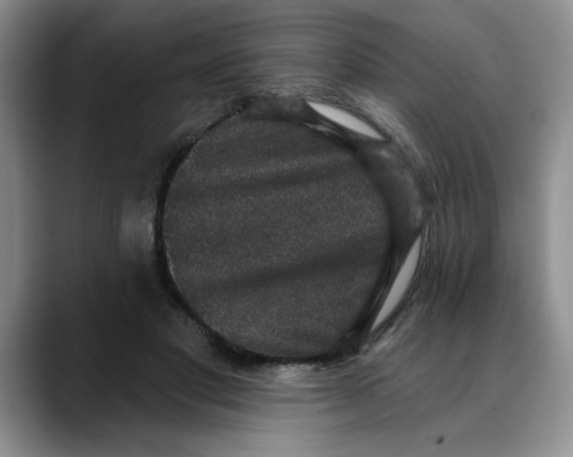 X0000088430501200706121453