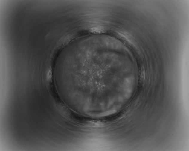 X0000088430502200706121453