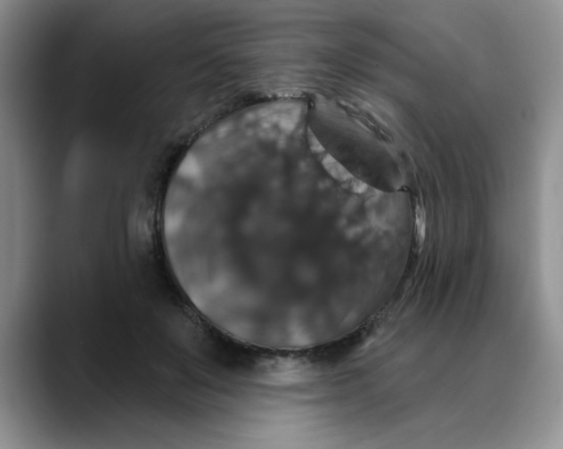 X0000088430503200706121453