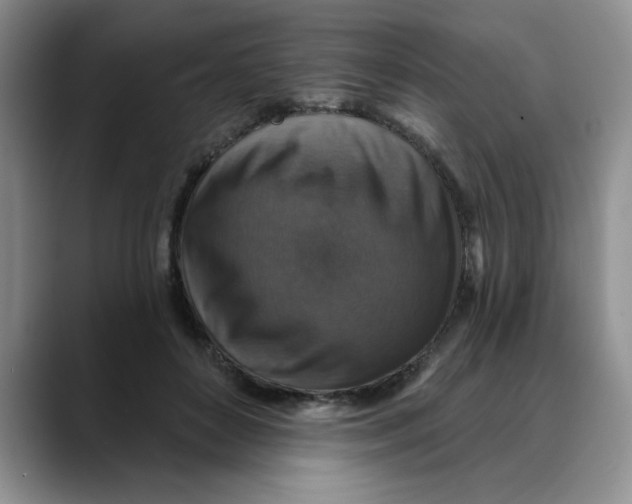 X0000088430504200706121453