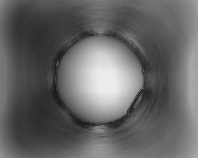 X0000088430505200706121453