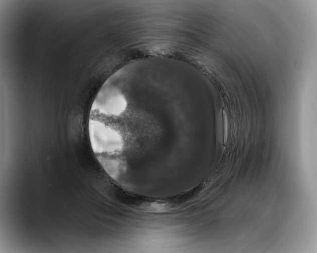 X0000088430506200706121453