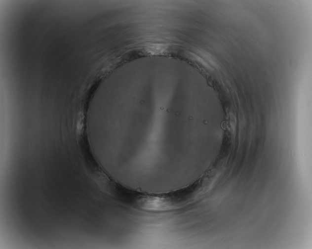 X0000088430507200706121453