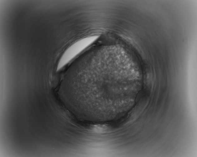 X0000088430508200706121453