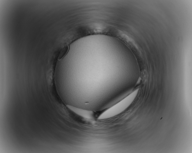 X0000088430509200706121453