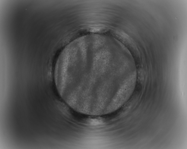 X0000088430510200706121453