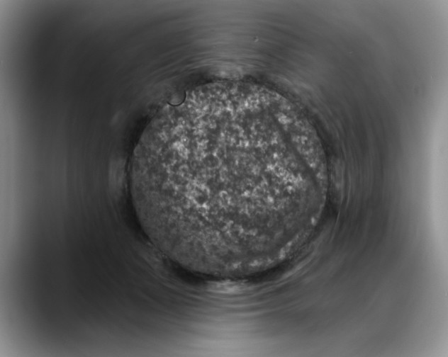 X0000088430511200706121453