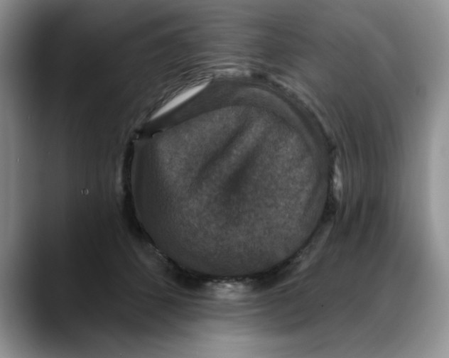 X0000088430512200706121453