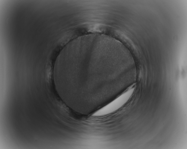 X0000088430513200706121453