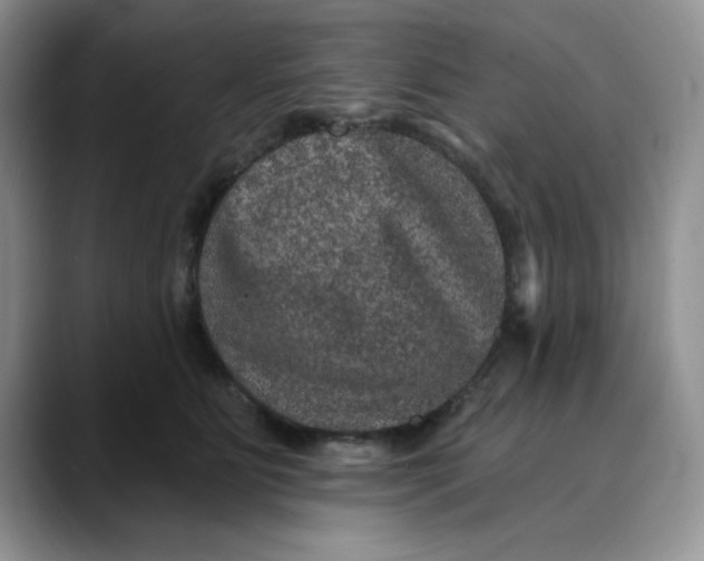 X0000088430515200706121453