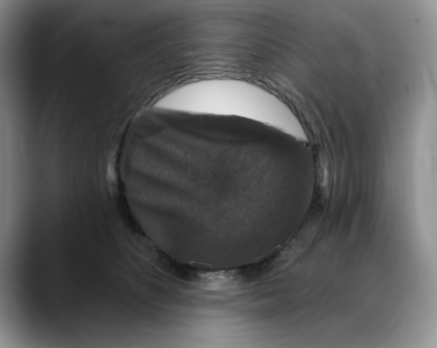 X0000088430516200706121453