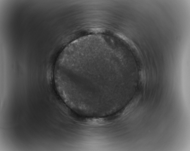 X0000088430517200706121453