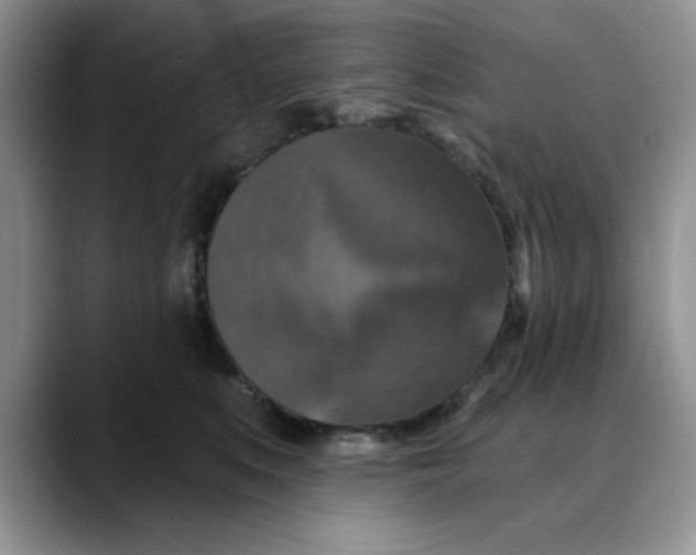 X0000088430519200706121453