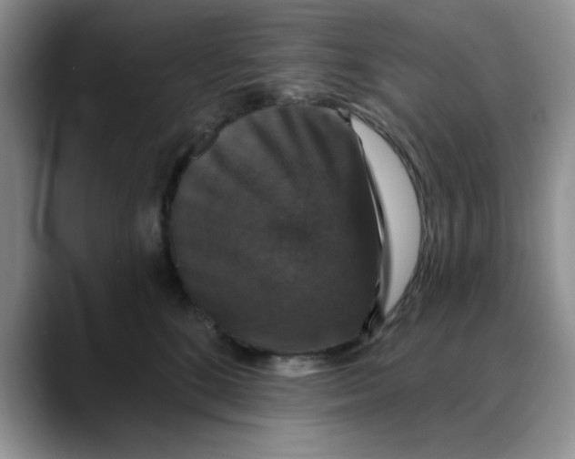 X0000088430520200706121453