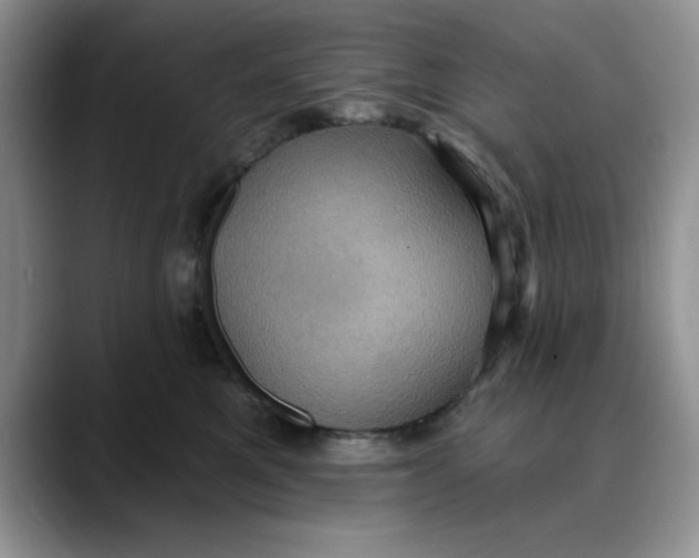 X0000088430521200706121453