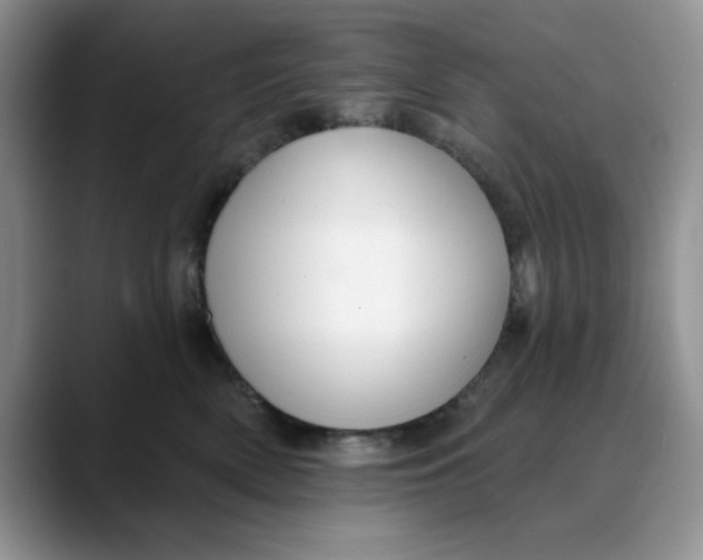 X0000088430522200706121453