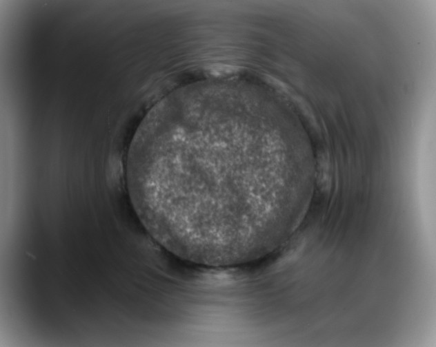 X0000088430523200706121453