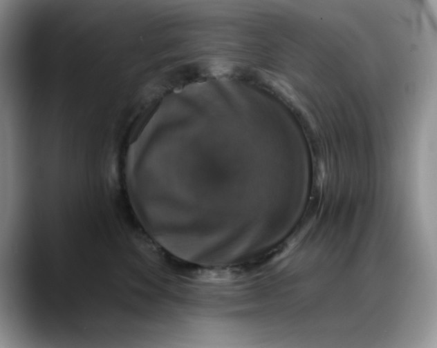 X0000088430524200706121453