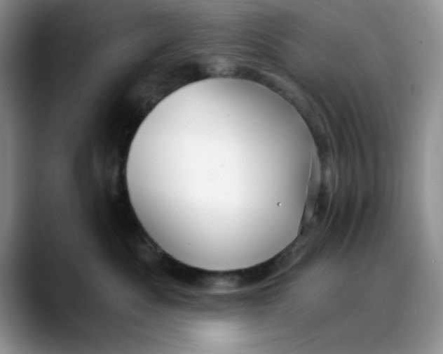 X0000088430525200706121453