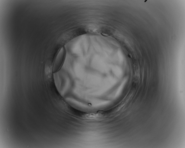 X0000088430526200706121453