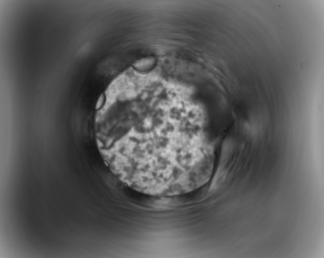 X0000088430527200706121453