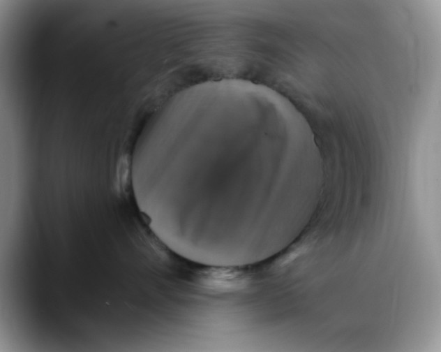 X0000088430528200706121453