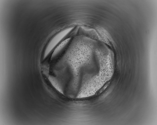 X0000088430530200706121452