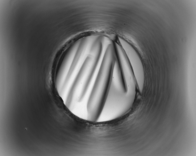 X0000088430532200706121452