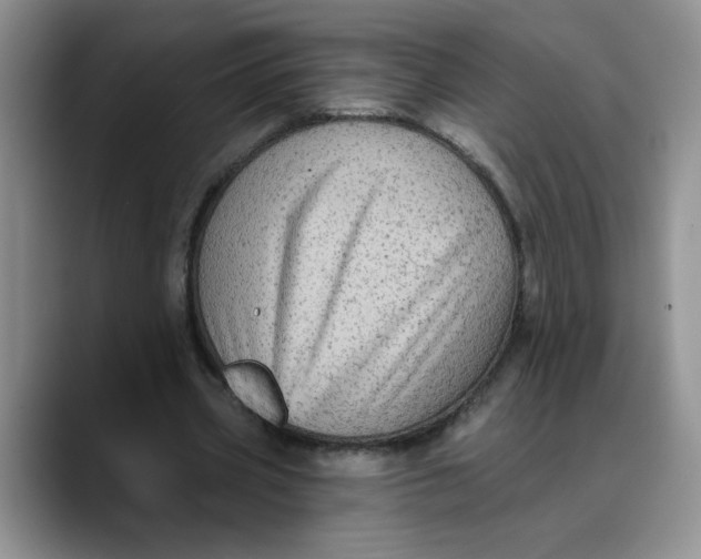 X0000088430533200706121452