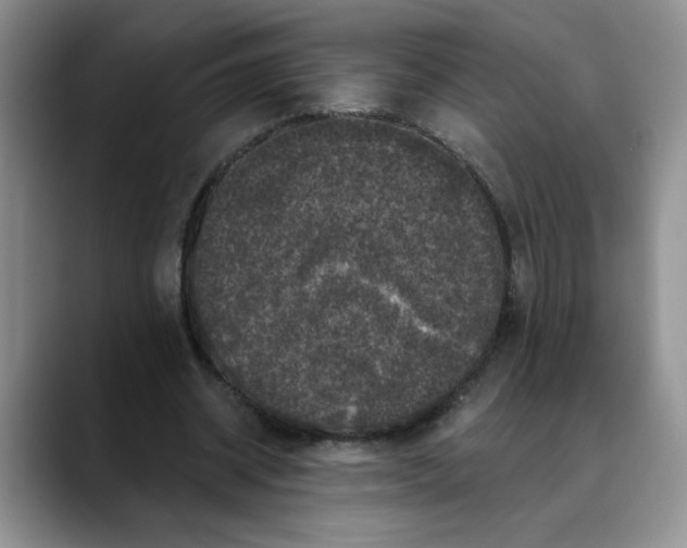 X0000088430534200706121452