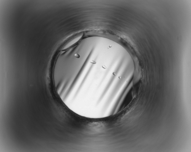 X0000088430536200706121452