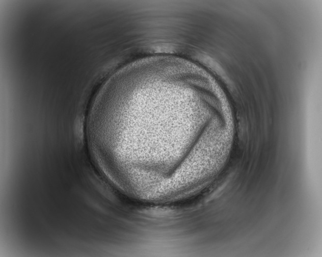 X0000088430537200706121452