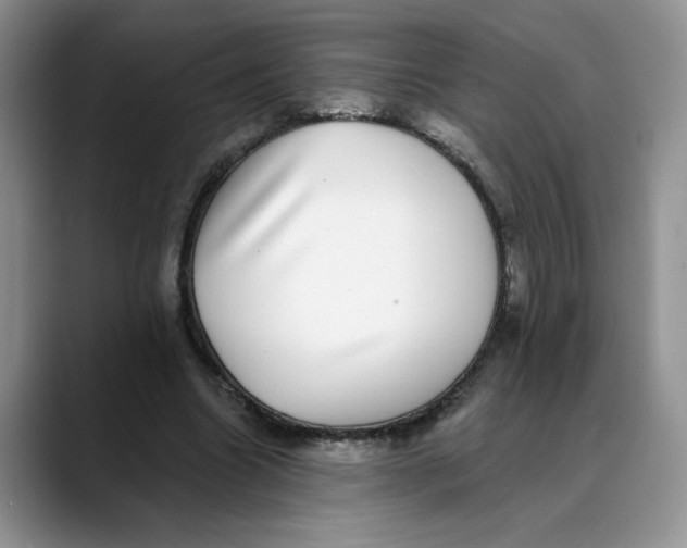 X0000088430538200706121452