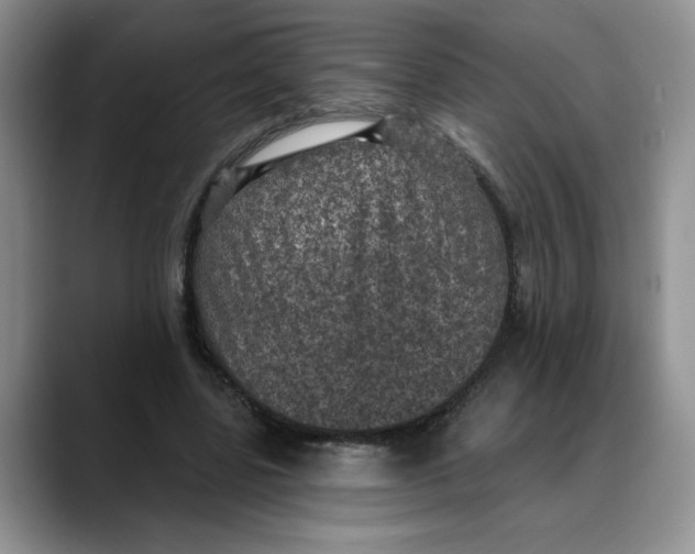 X0000088430539200706121452