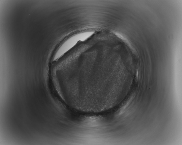 X0000088430540200706121452