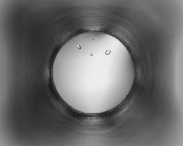 X0000088430541200706121452