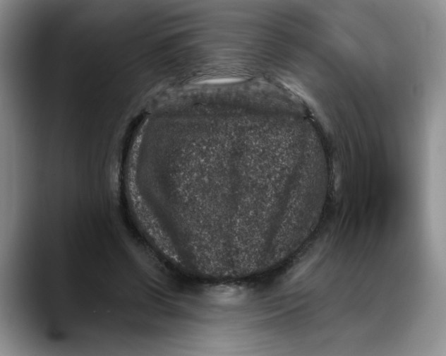 X0000088430542200706121452