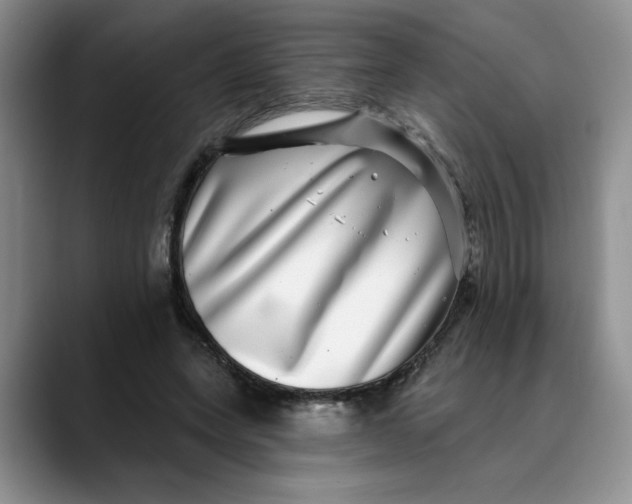 X0000088430543200706121452