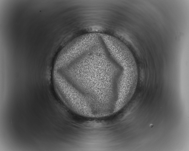 X0000088430545200706121452