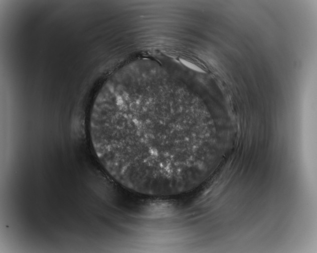 X0000088430547200706121452