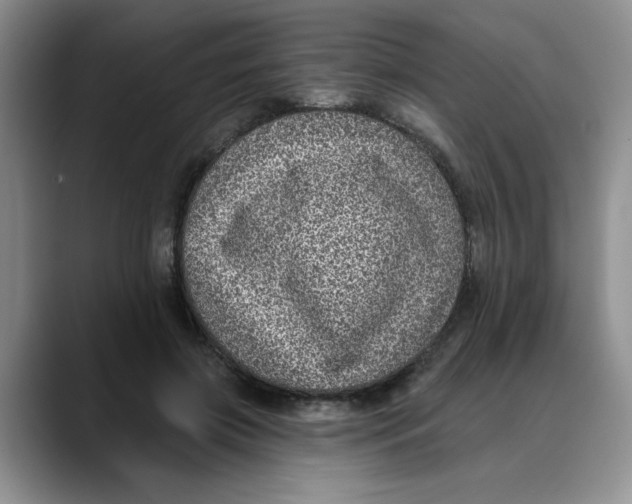 X0000088430549200706121452