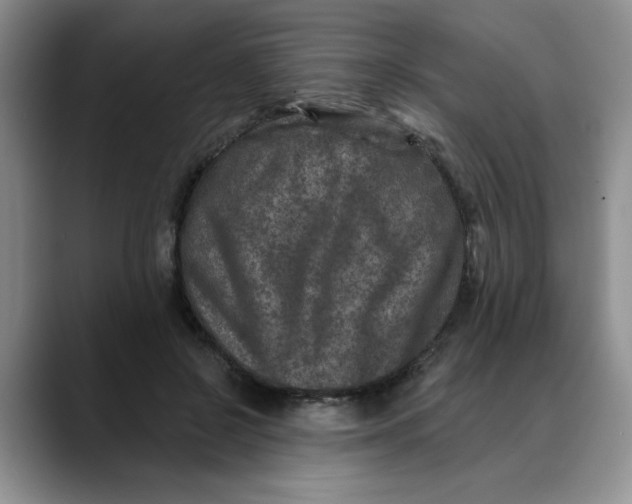 X0000088430550200706121452