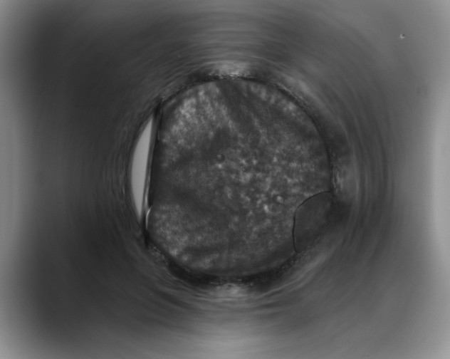 X0000088430551200706121452