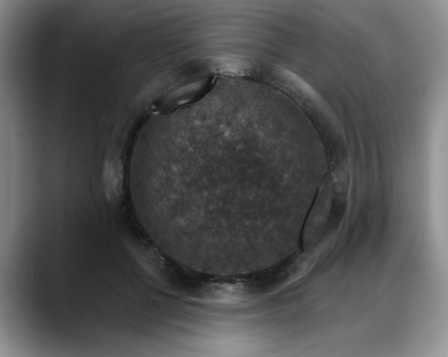 X0000088430552200706121452