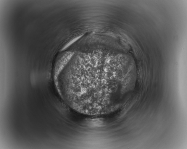 X0000088430553200706121452