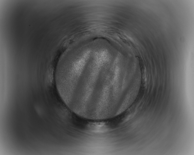 X0000088430554200706121453