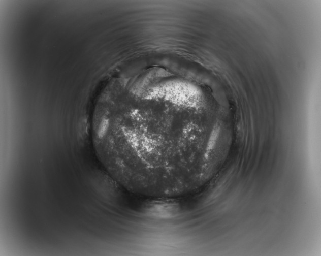 X0000088430555200706121453