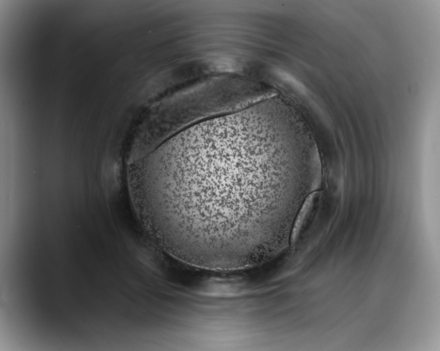 X0000088430556200706121453