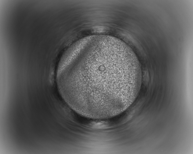 X0000088430557200706121453