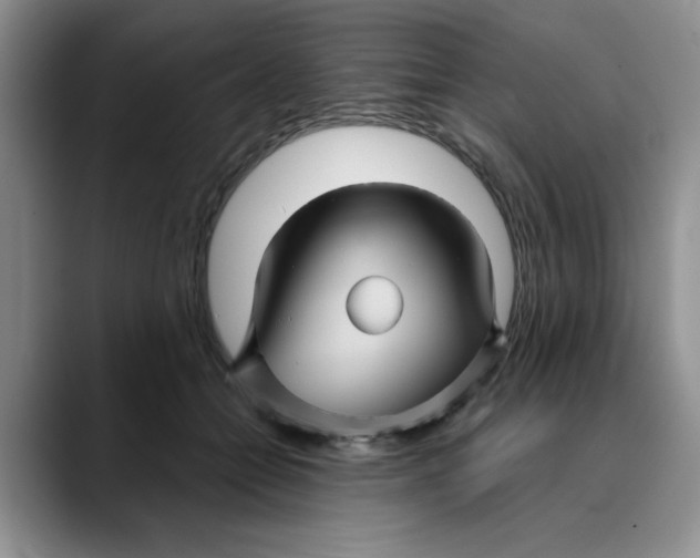 X0000088430558200706121453